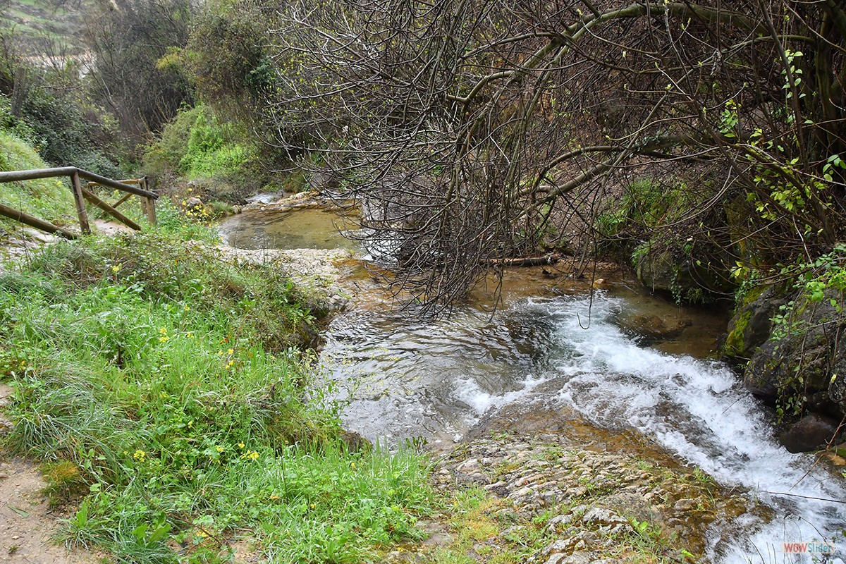 Sendero_Cerezuelo_Cazorla_16