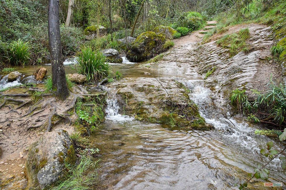 Sendero_Cerezuelo_Cazorla_17