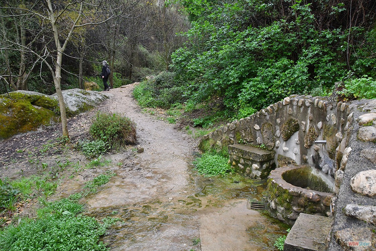 Sendero_Cerezuelo_Cazorla_19