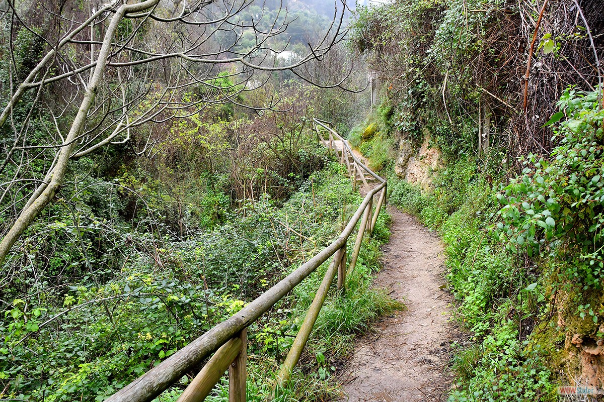 Sendero_Cerezuelo_Cazorla_20