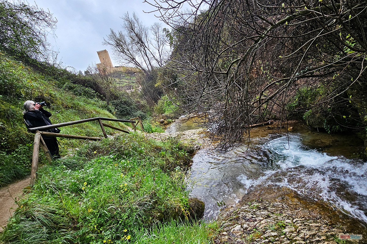 Sendero_Cerezuelo_Cazorla_25