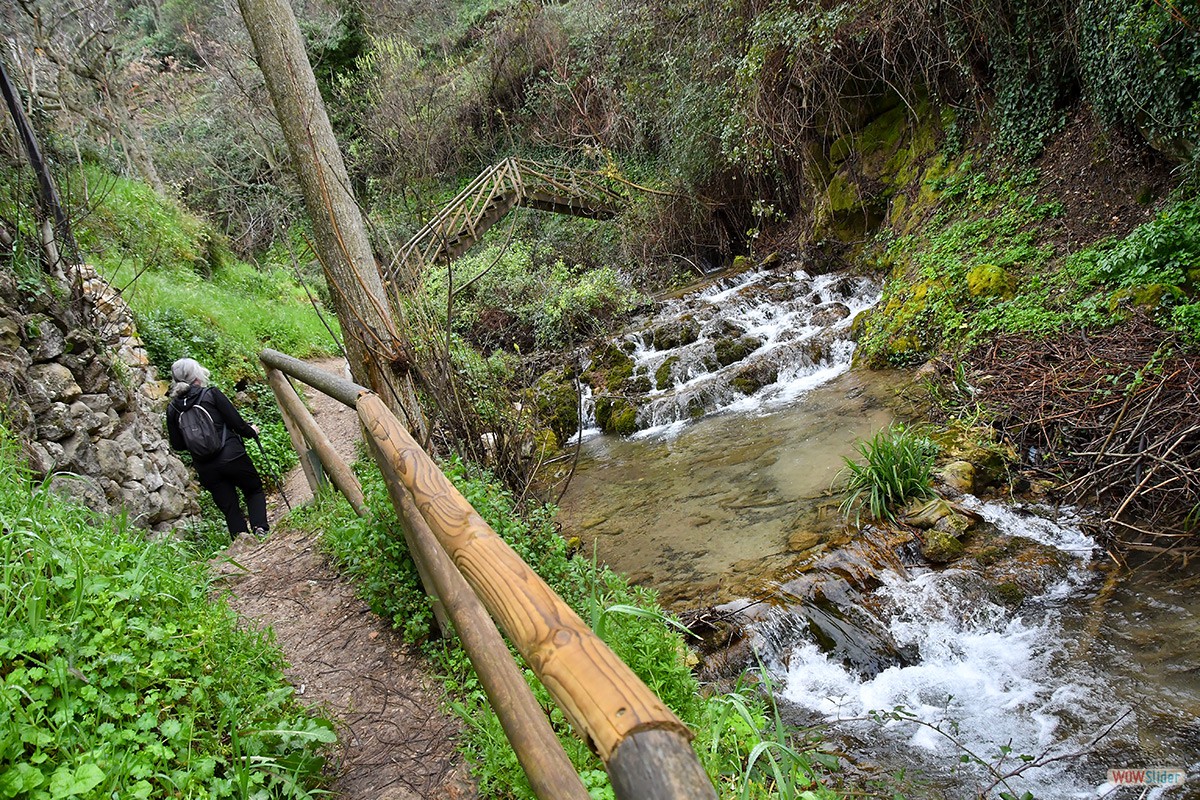 Sendero_Cerezuelo_Cazorla_29
