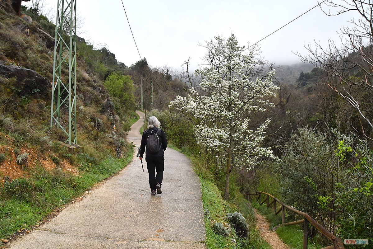 Sendero_Cerezuelo_Cazorla_30