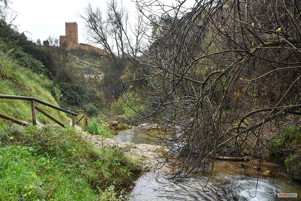 Sendero_Cerezuelo_Cazorla_33