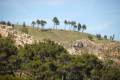 Sierra-de-Cazorla-11
