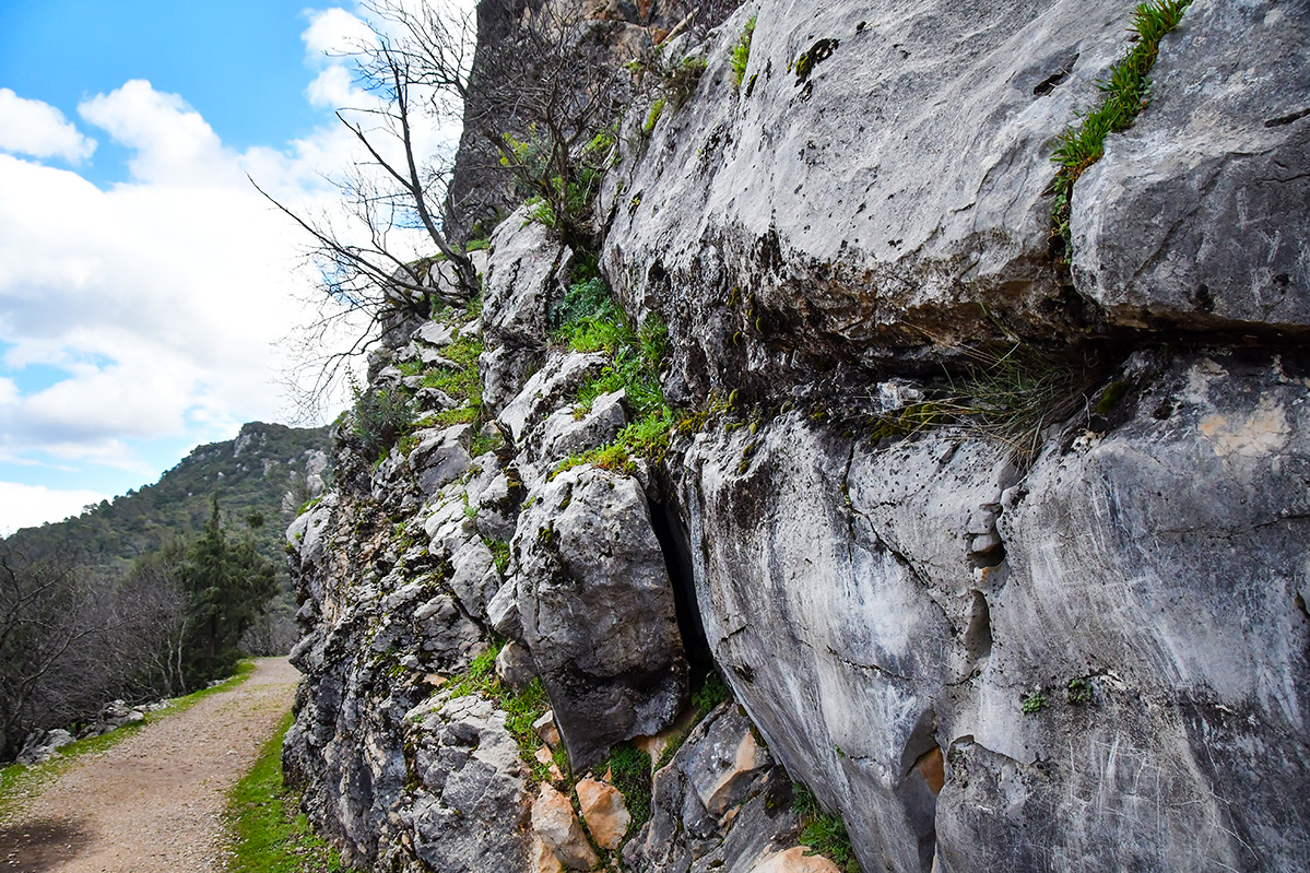 Cazorla-Cerrada-Utrero22