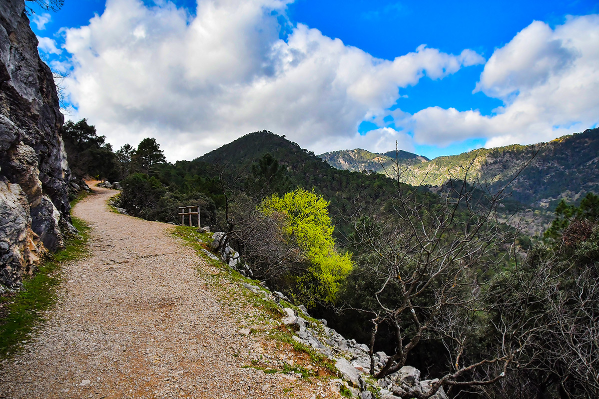 Cazorla-Cerrada-Utrero25