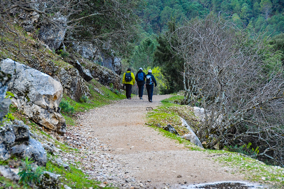 Cazorla-Cerrada-Utrero33
