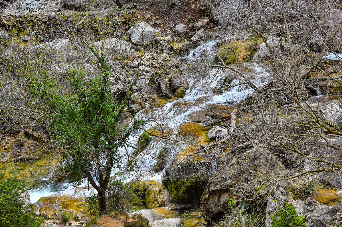 Cazorla-Cerrada-Utrero53