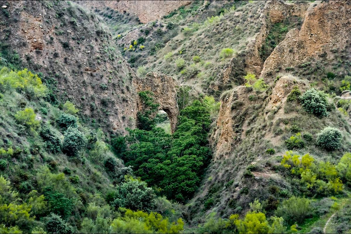 Cerro-del-Oro-05