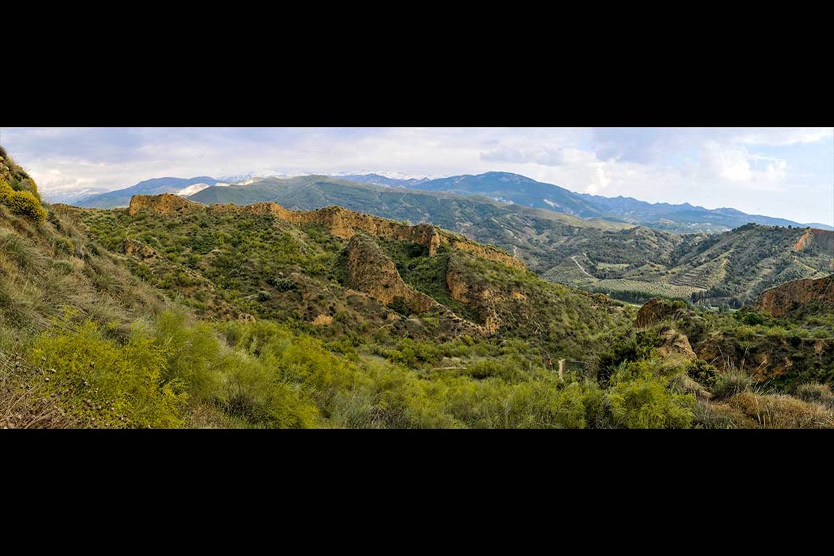 Cerro-del-Oro-07