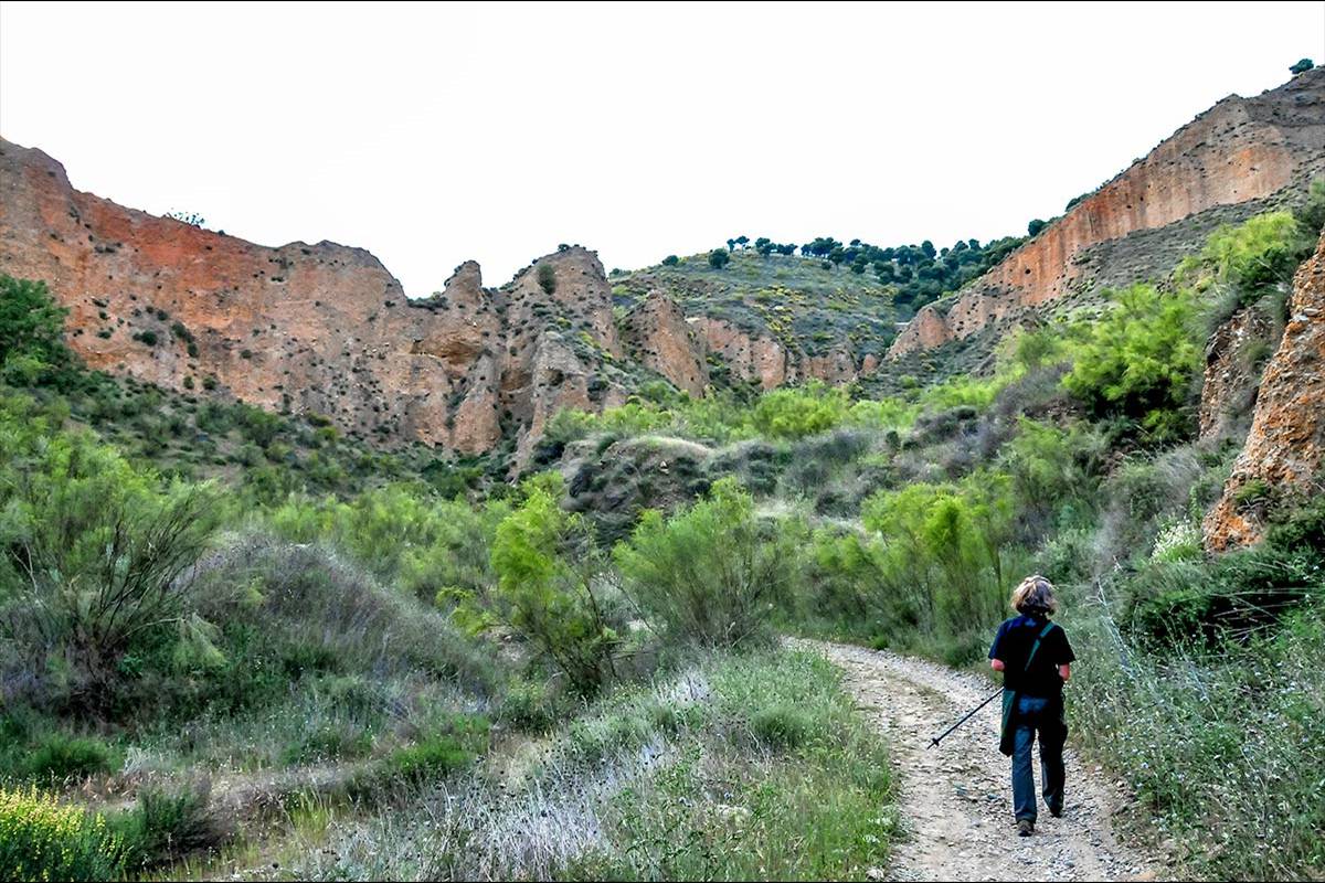 Cerro-del-Oro-12