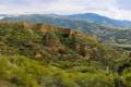 Cerro-del-Oro-07