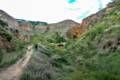 Cerro-del-Oro-09