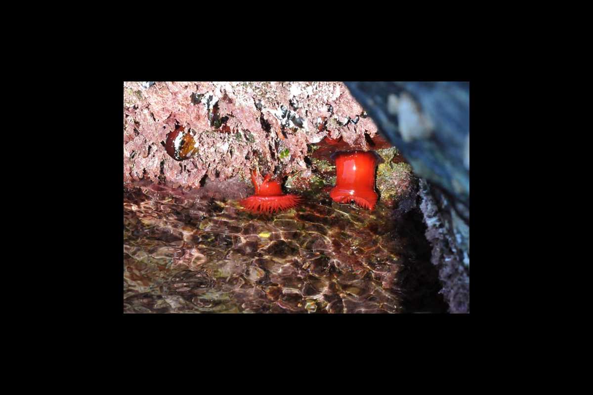 charcasdemarea-galeria12