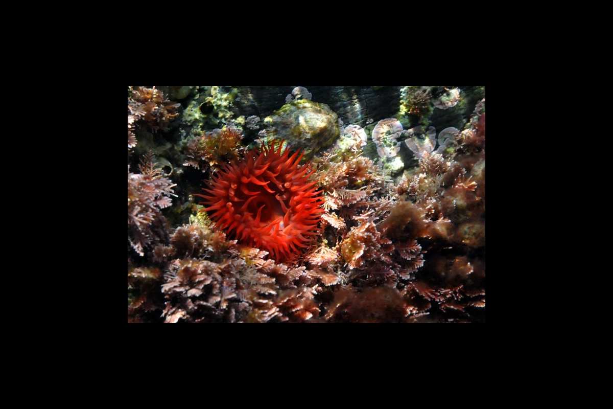 charcasdemarea-galeria2