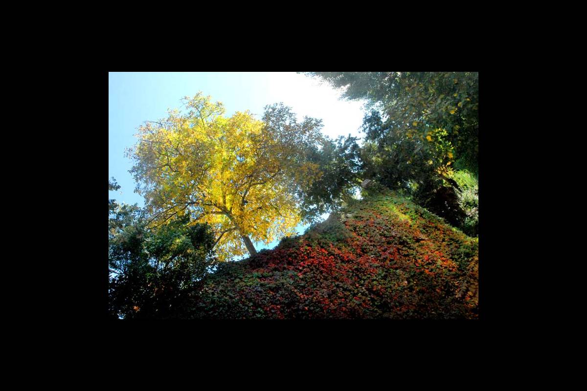 colores-otono15