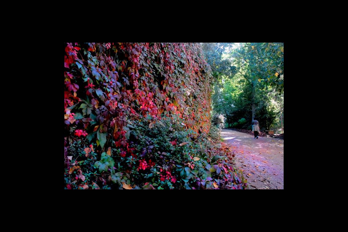 colores-otono16
