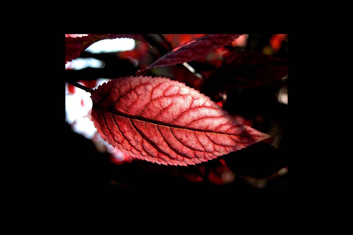 colores-otono4