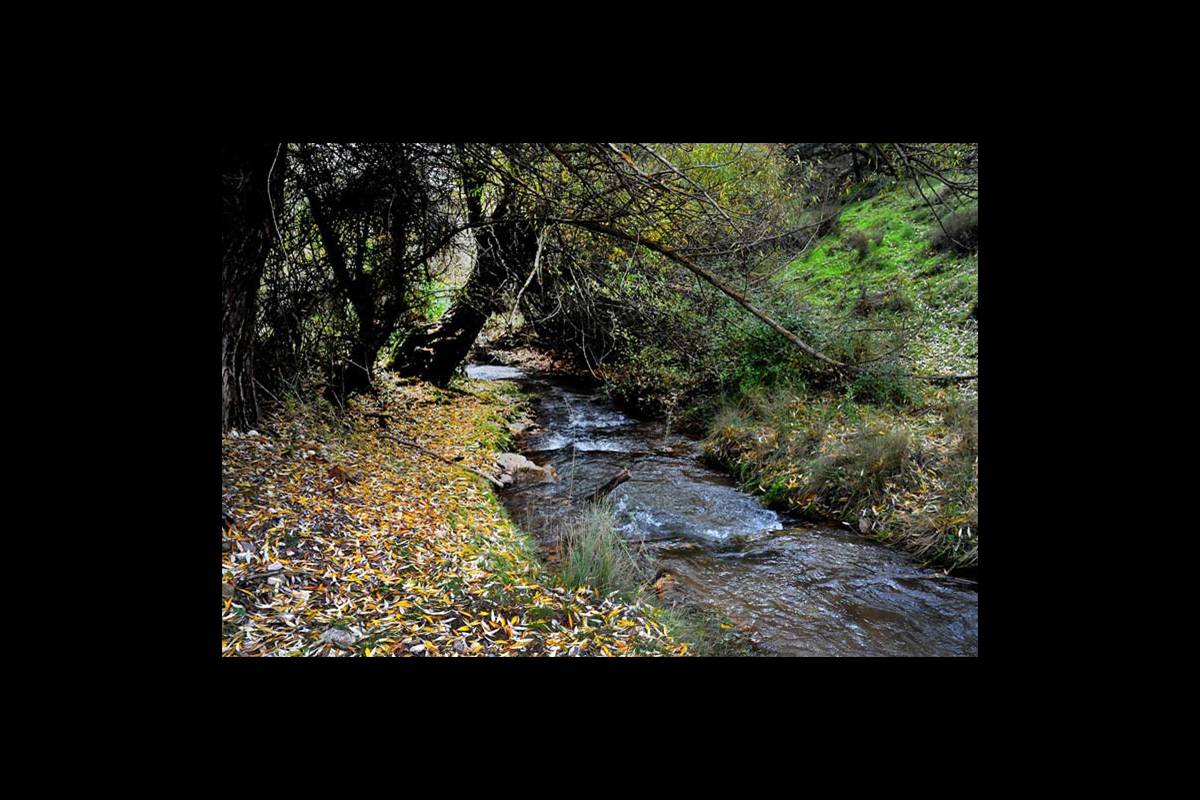 colores-otono9