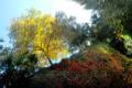 colores-otono15