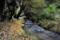 colores-otono9