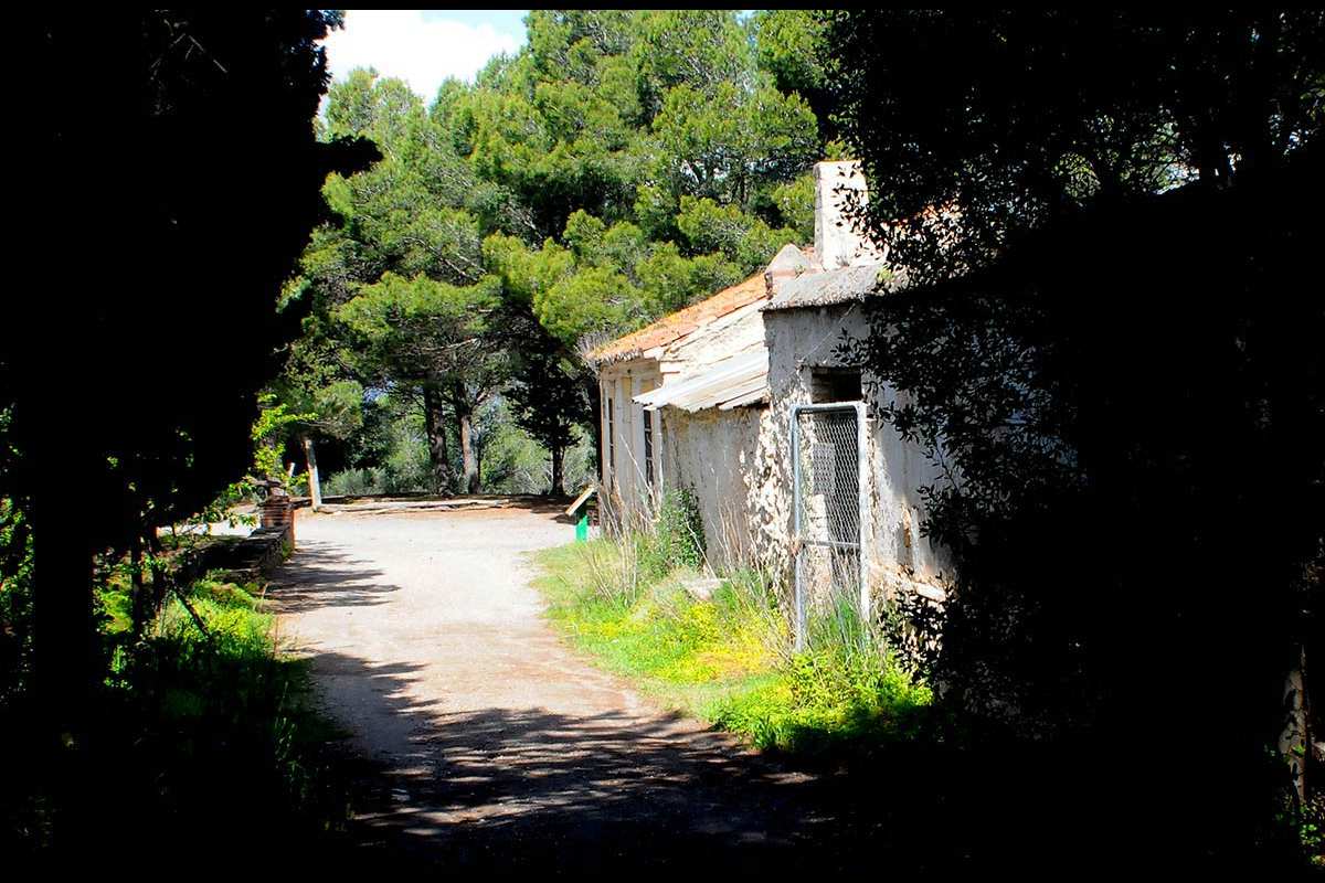 Conjuro Sierra del Jara * Cortijo Alcántara