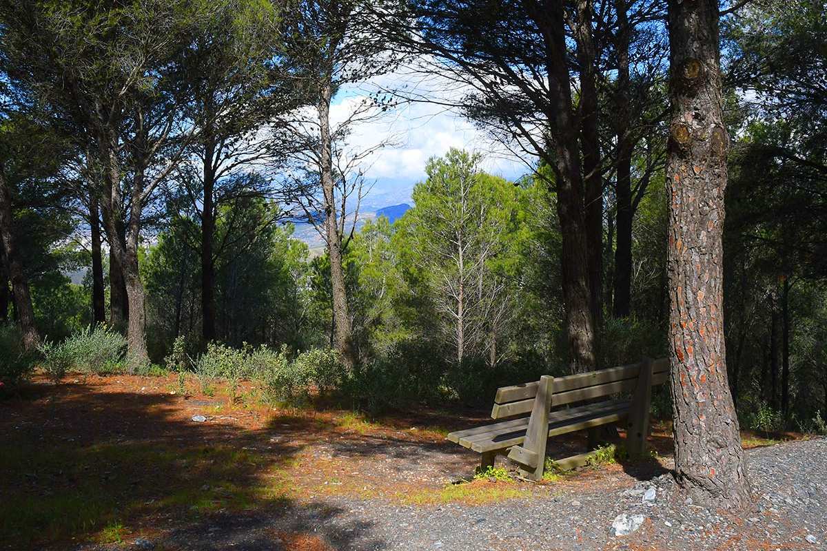 Conjuro Sierra del Jara * Cortijo Alcántara
