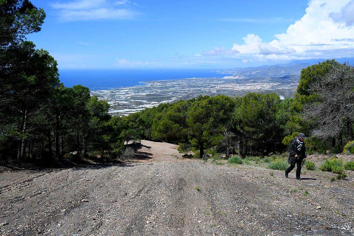 Conjuro Sierra del Jara