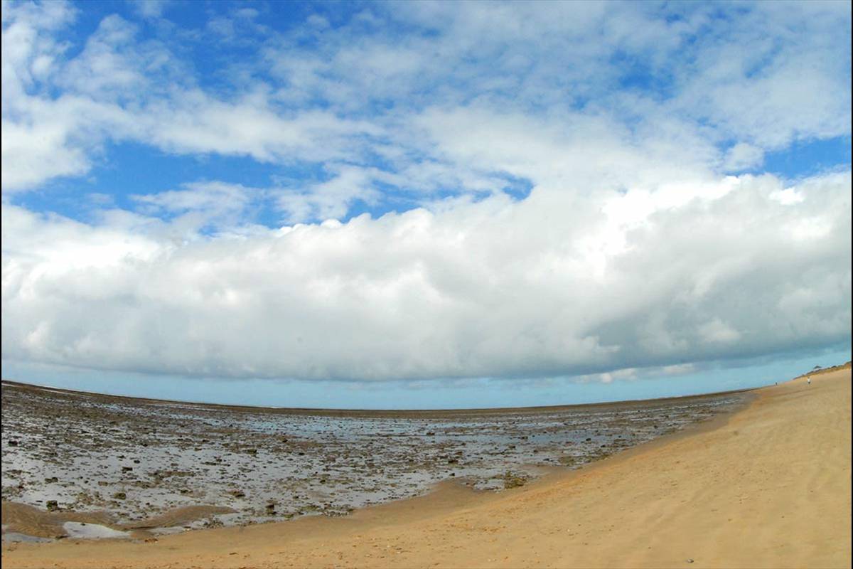 CORRALES_DE_ROTA-05
