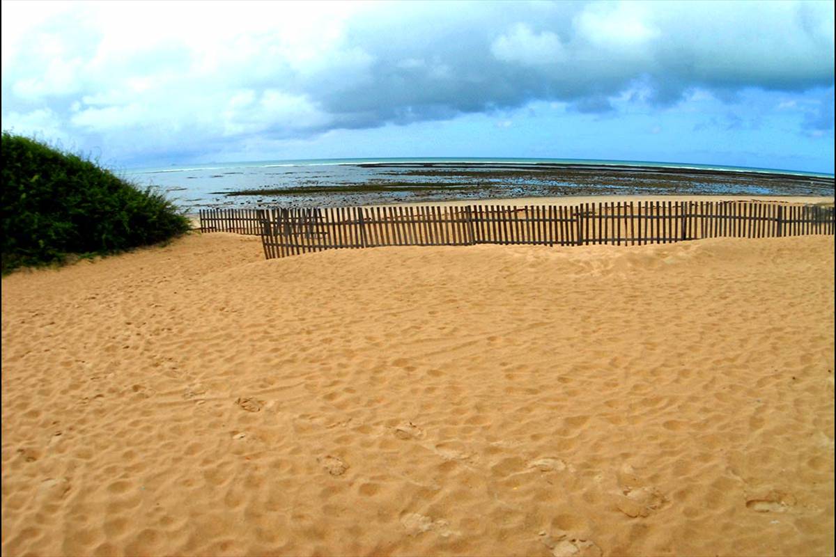 CORRALES_DE_ROTA-15