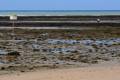 CORRALES_DE_ROTA-03