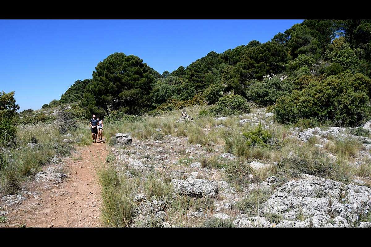 cruz-de-alfacar-ruta-17