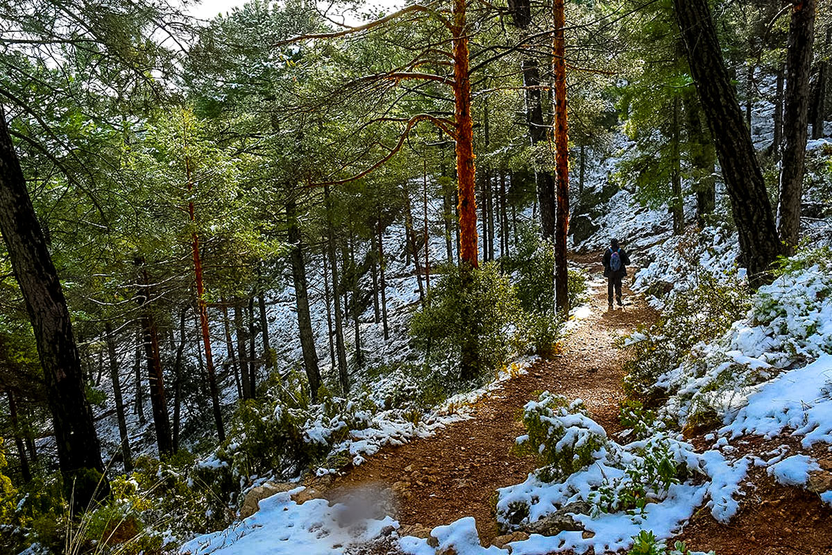 cruzdeviznar11