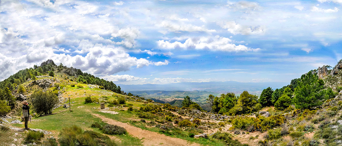 cruzdeviznar14