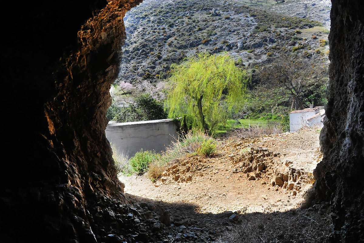 ojosdecozvijar02