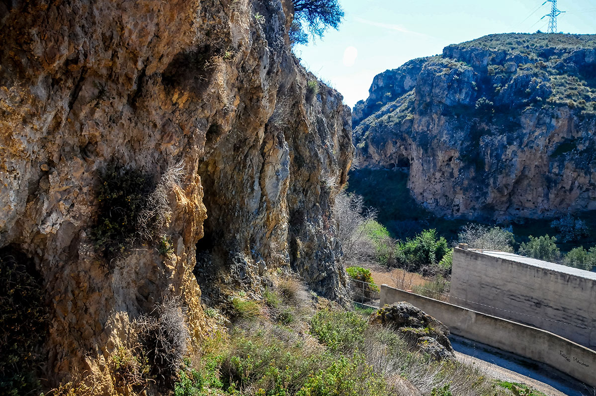 ojosdecozvijar06