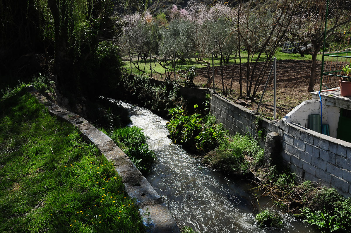 ojosdecozvijar12
