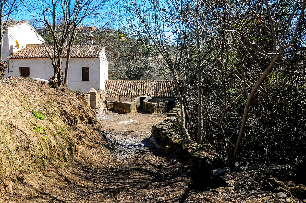 ojosdecozvijar15