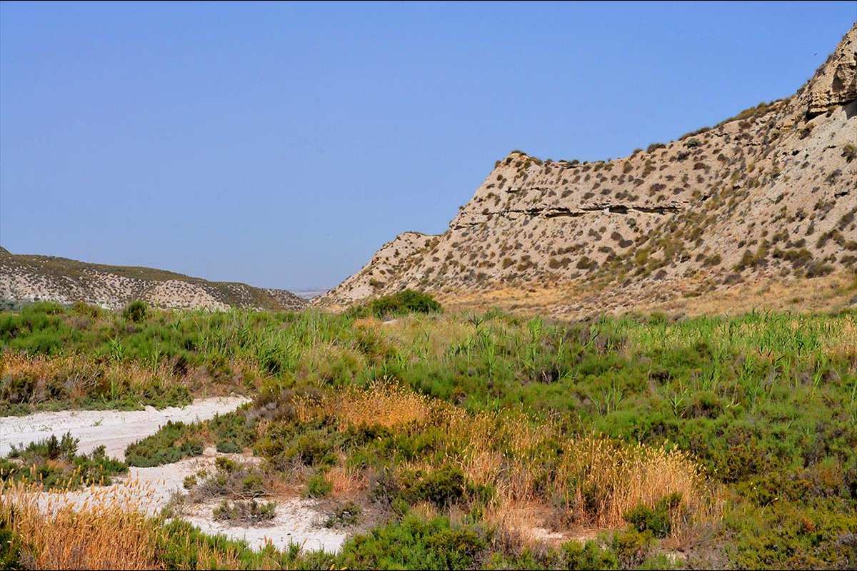 Humedal-saladar de Cúllar, El Margen (Granada)
