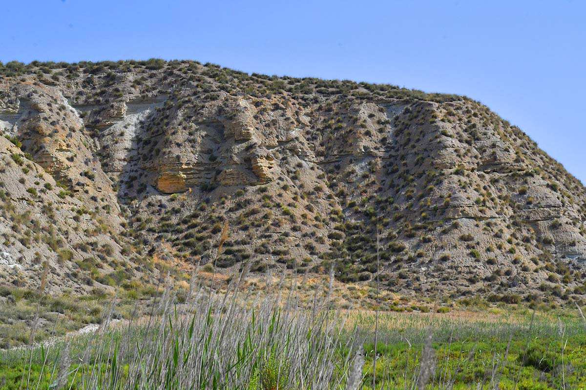 Cárcavas en Humedal-saladar de Cúllar, El Margen (Granada)
