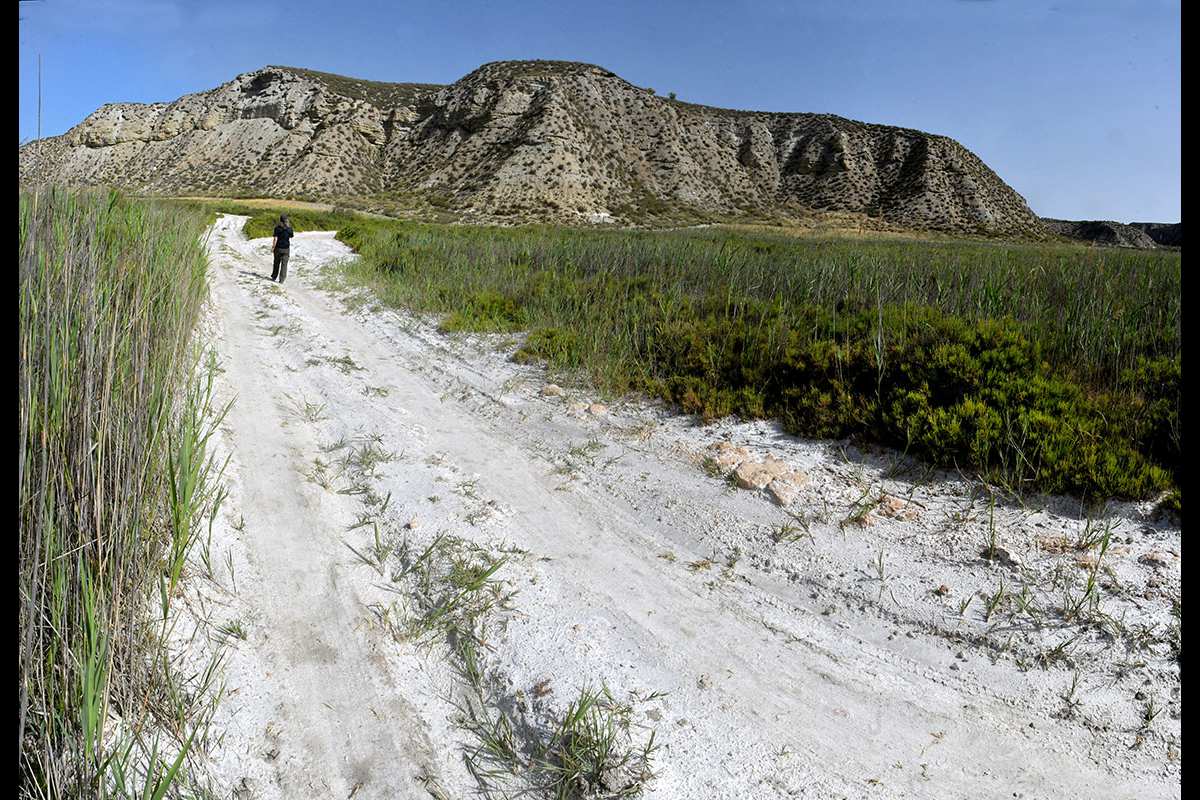 Tierras blancas de sal y yesos