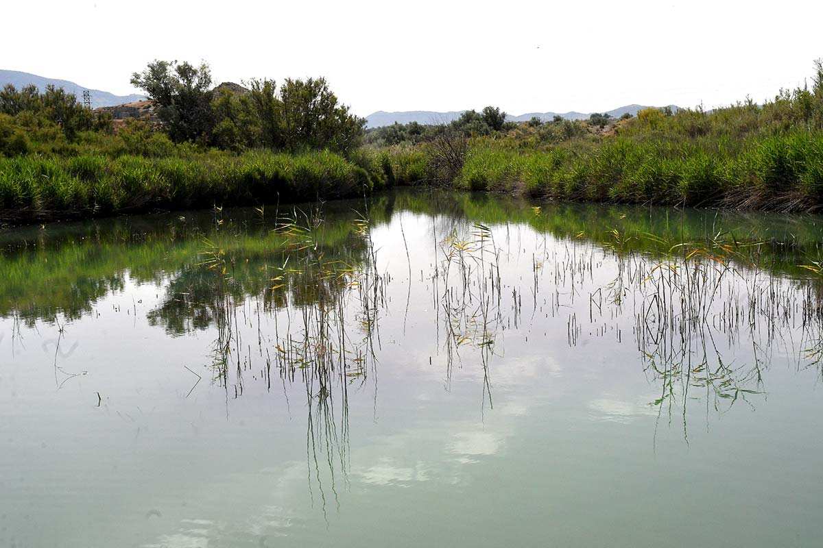 Balsas de aguas procedentes del acuífero subterráneo