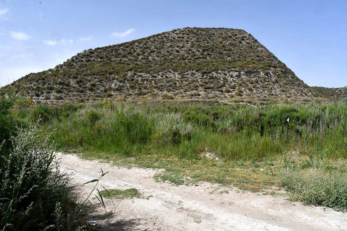 Humedal-saladar de Cúllar, El Margen (Granada)