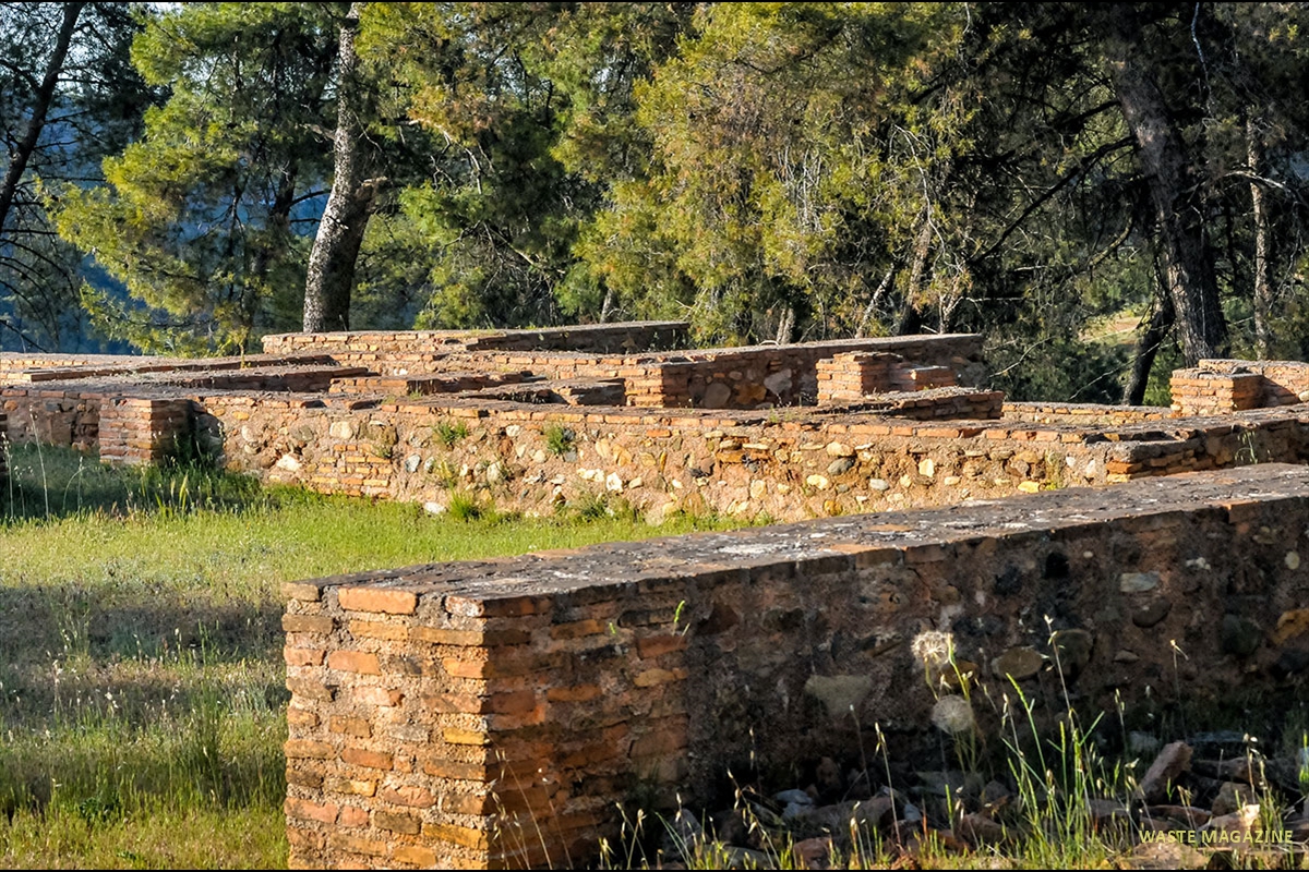Dar-al-Arusa-02