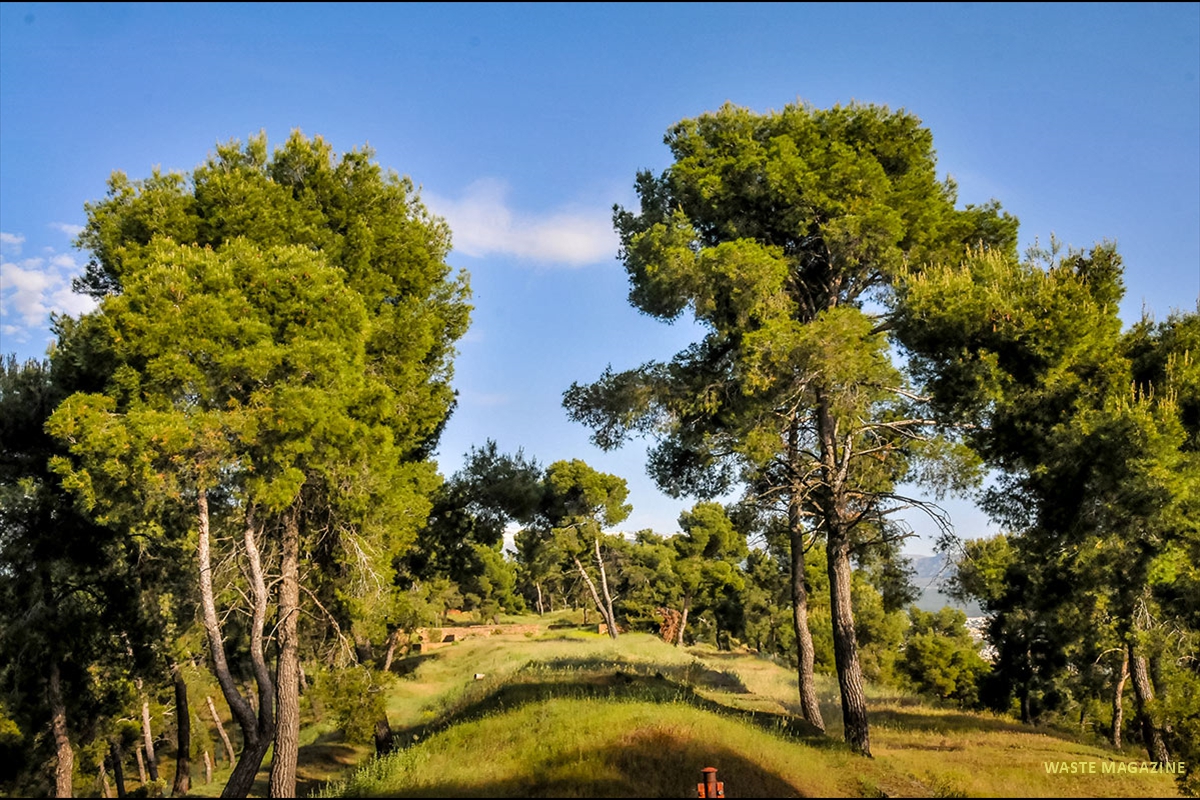 Dar-al-Arusa-09