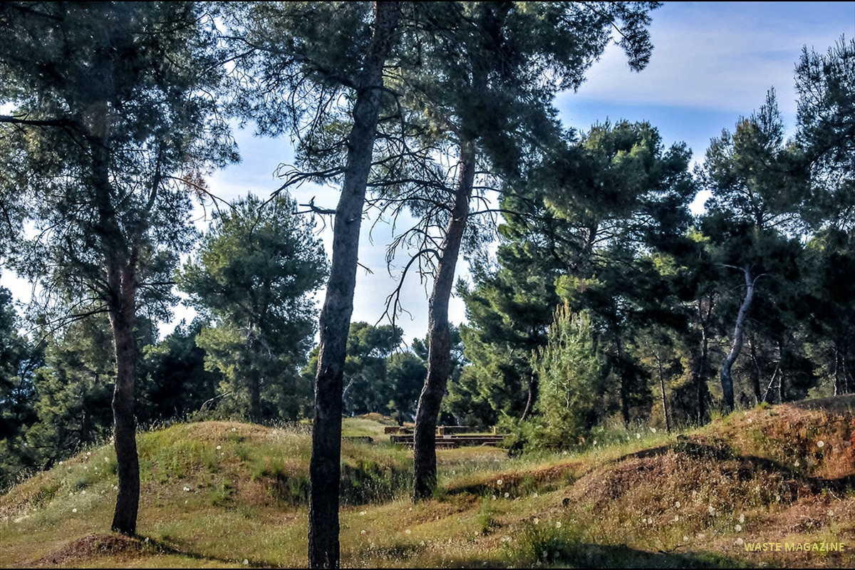 Dar-al-Arusa-13