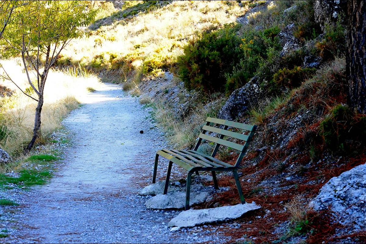 Darro-nacimiento-sendero-001