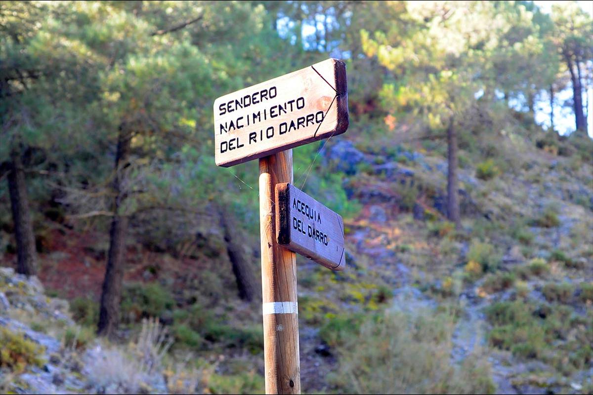 Darro-nacimiento-sendero-002