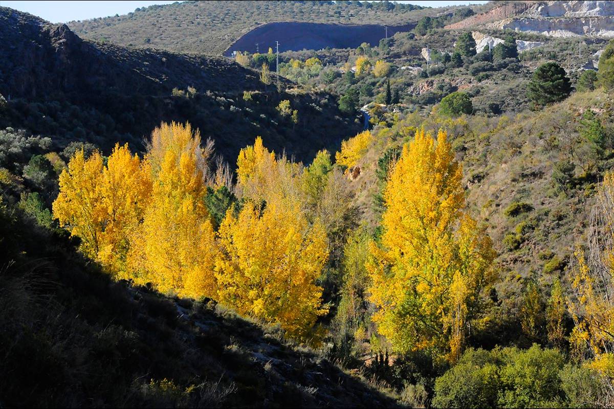 Darro-nacimiento-sendero-003